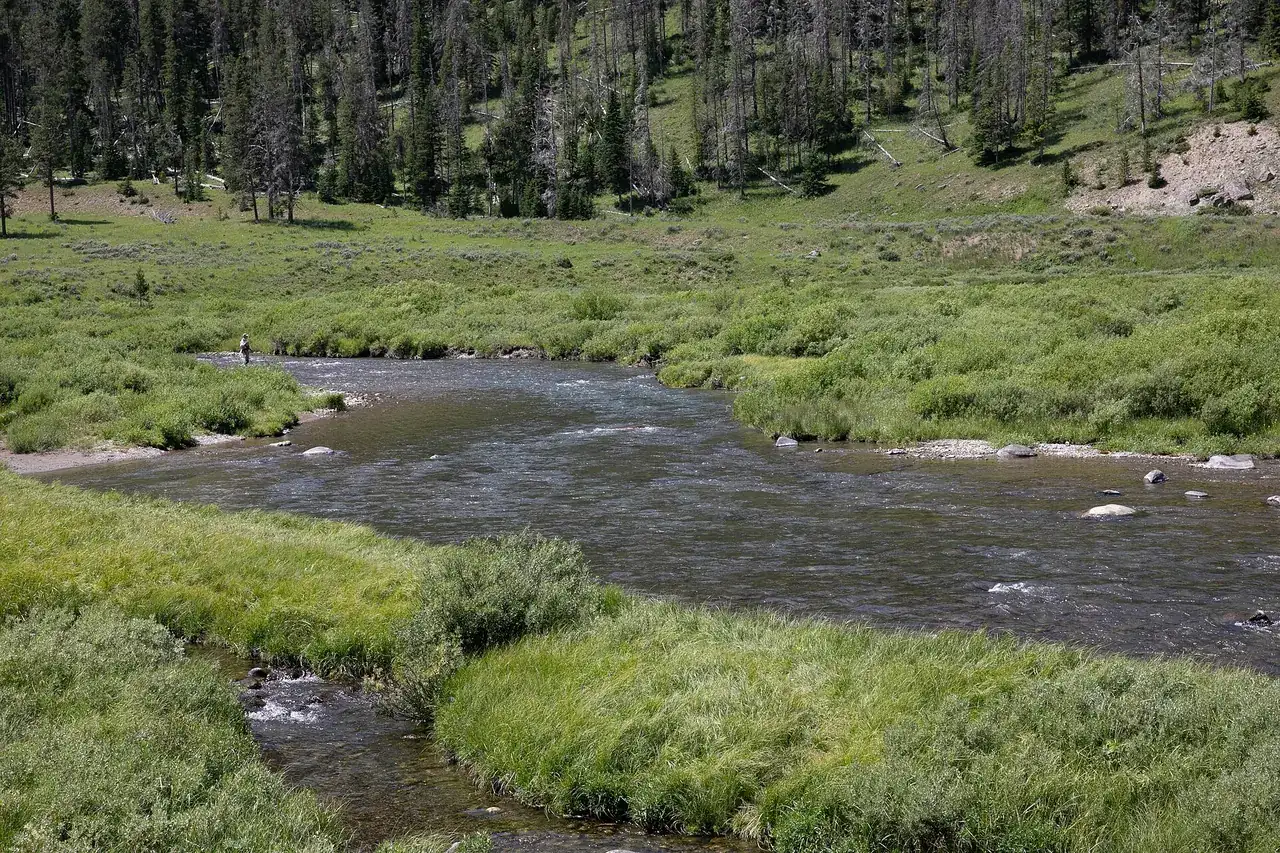 The Gallatin River in summer