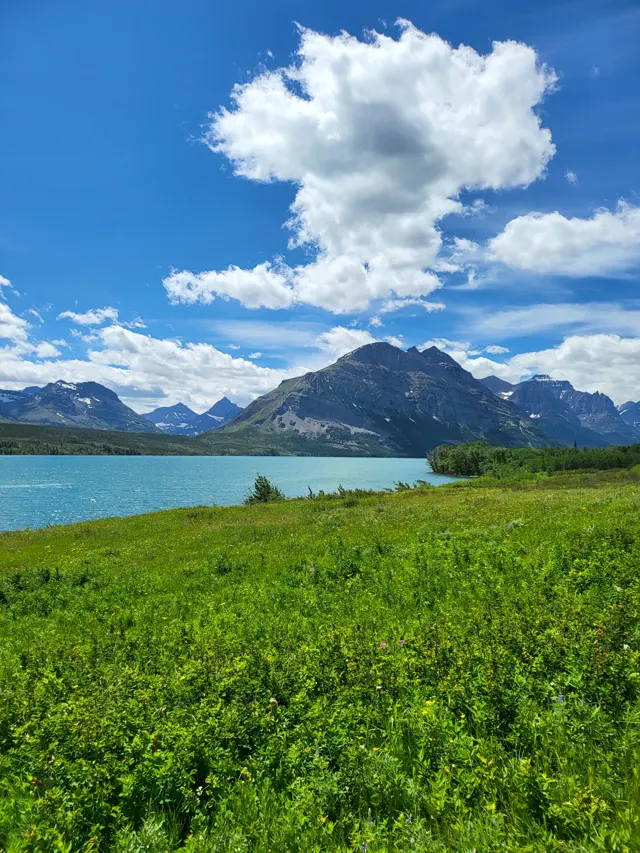 Wildflower meadow above a blue lake and mountains in Glacier