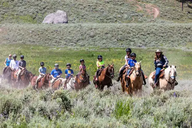 Guided horseback trail ride