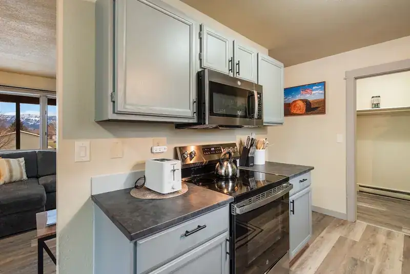 Modern Mountainview A: Kitchen with stove and microwave