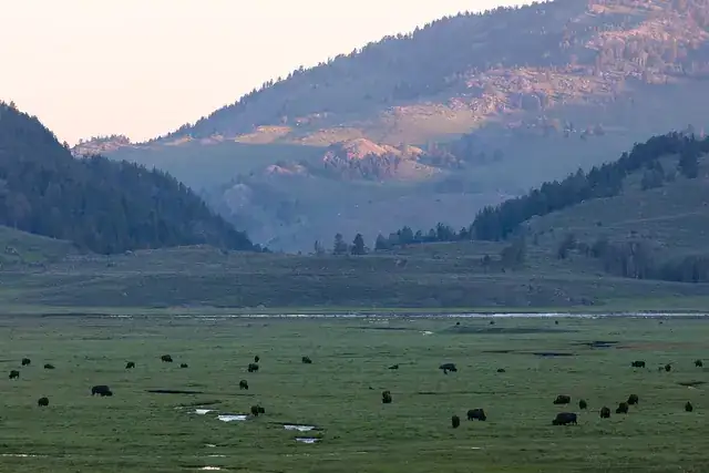 Yellowstone river valley