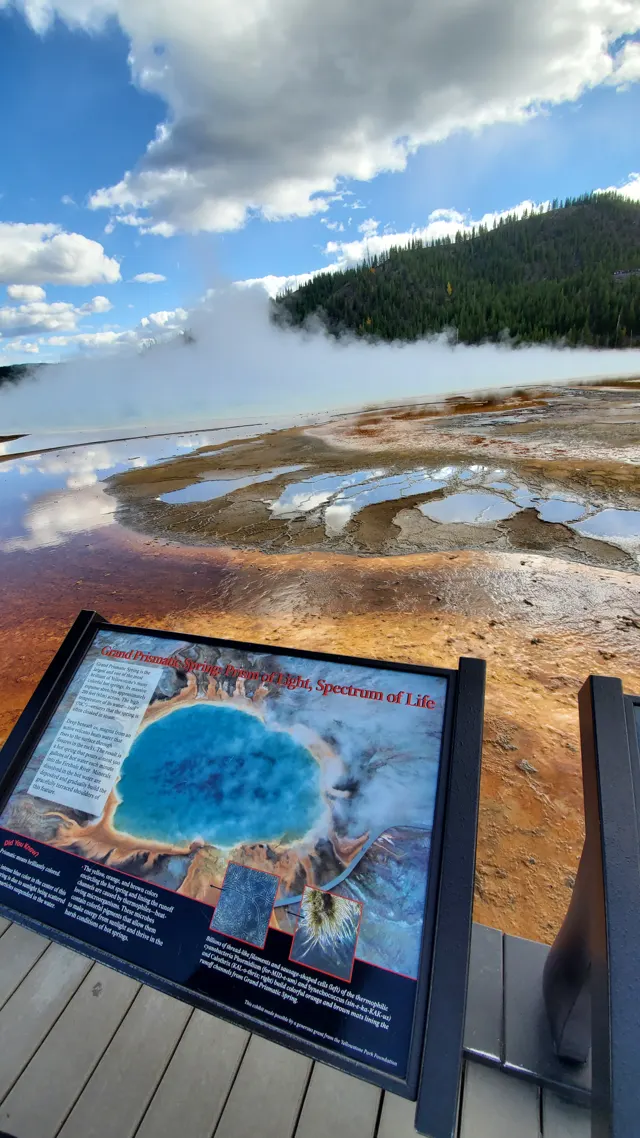 Grand Prismatic Spring sign with orange bacterial mats behind it
