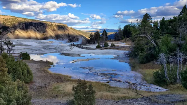 Hot spring terraces with pine trees in Yellowstone near Gardiner