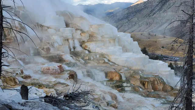 Cascading white travertine terraces in Yellowstone near Gardiner